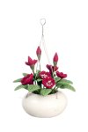 (image for) Red Floral Hanging Plant