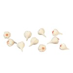 (image for) Garlic 10pc