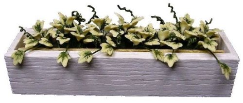 (image for) English Ivy in White Window Box