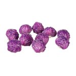 (image for) Purple Cabbage 10pc