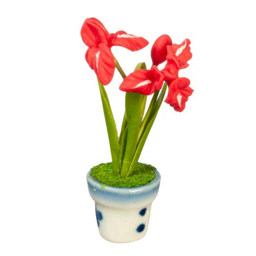 (image for) Potted Red Flowers