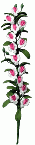 (image for) White & Pink Flower Vine