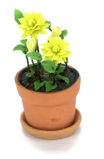 (image for) Yellow Monarda in a Clay Pot