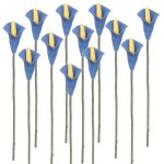 (image for) 1dz Blue Calla Lily Stems