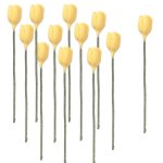 (image for) 1dz Yellow Tulip Stems