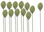 (image for) 1dz Rose Leaf Stems Smallest