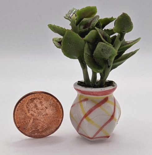 (image for) Coleus in Striped Pot