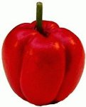 (image for) Red Bell Pepper 12pc