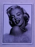 (image for) Marilyn Monroe Dollhouse Photo 8 x10 1