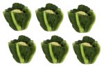 (image for) Cauliflower Head 6pc