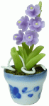 (image for) Purple Orchid in Pot