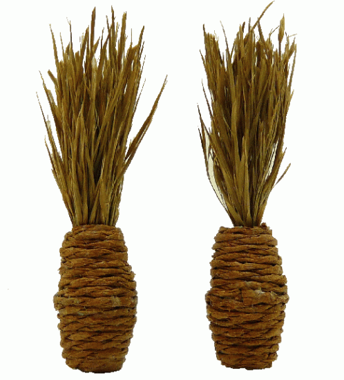 (image for) Dried Grass Arrangement Set of 2