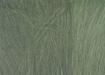 (image for) Field Grass Medium Green