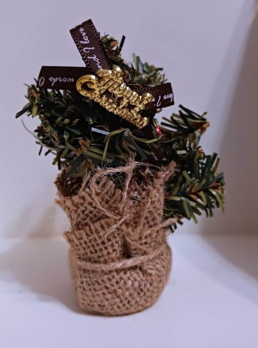 (image for) Merry Christmas LED Evergreen in Burlap