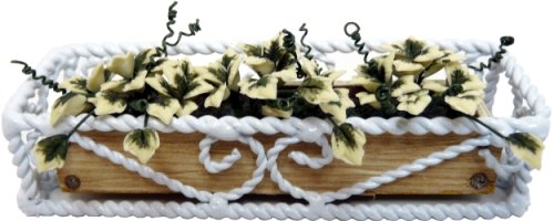 (image for) English Ivy in Braided Iron Box