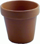 (image for) Terra Cotta Pot