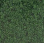 (image for) Coarse Turf Dark Green