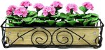 (image for) Pink Geraniums in Scroll Iron Planter