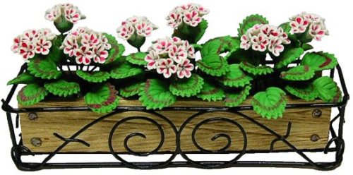 (image for) Red & White Geraniums in Scroll WI Box