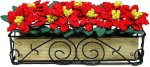 (image for) Deluxe Poinsettias in Scroll Iron Planter