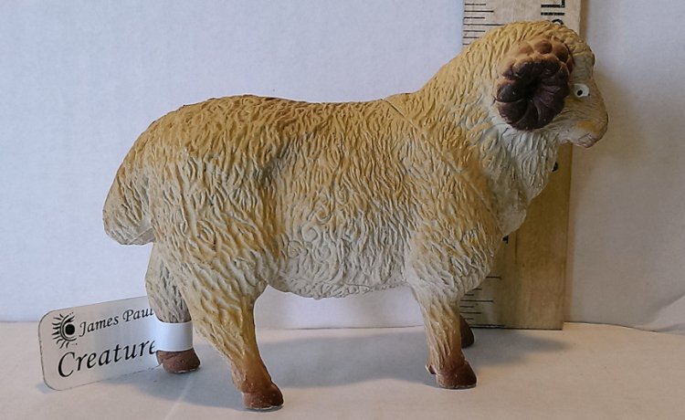 (image for) Jacob Sheep