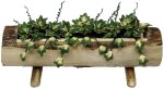 (image for) Ivy in Log Planter