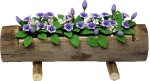 (image for) Purple Cupflowers in Log Planter