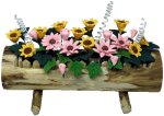 (image for) Summer Flowers in Log Planter