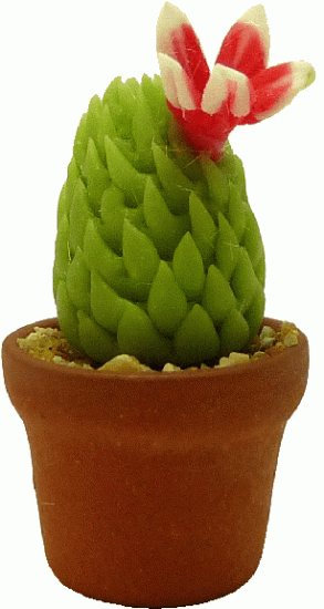 (image for) Potted Cactus