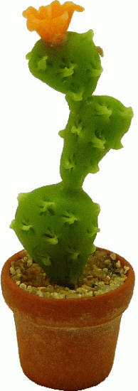 (image for) Long Cactus in Pot