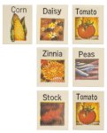 (image for) Seed Packets 7pc