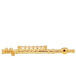 (image for) Alto Flute w/ Case