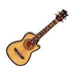 (image for) Acoustic Guitar w/ Case - Fancy