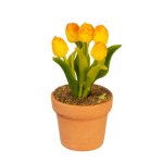 (image for) Tulips - Yellow/Orange