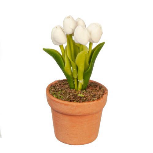 (image for) Tulips - White