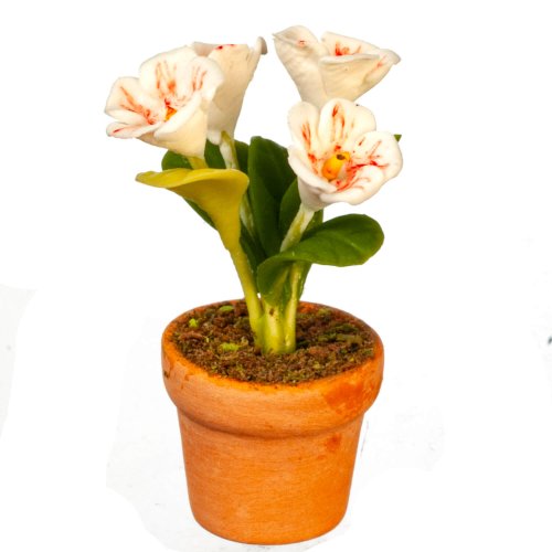 (image for) Potted Flowers - Red & Orange