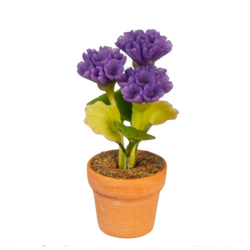 (image for) Potted Flowers - Purple