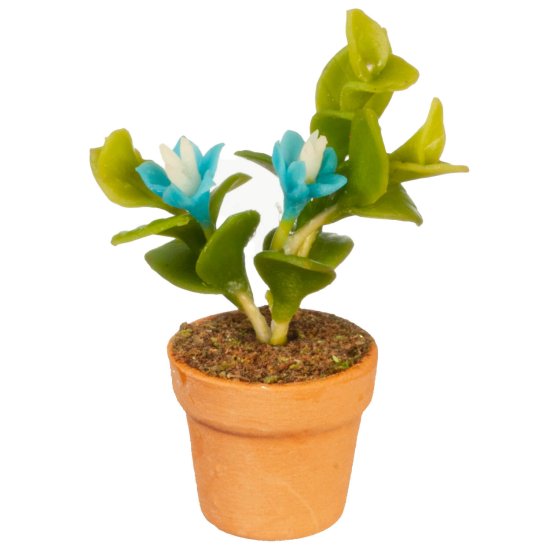 (image for) Potted Flowers - Turquoise & White