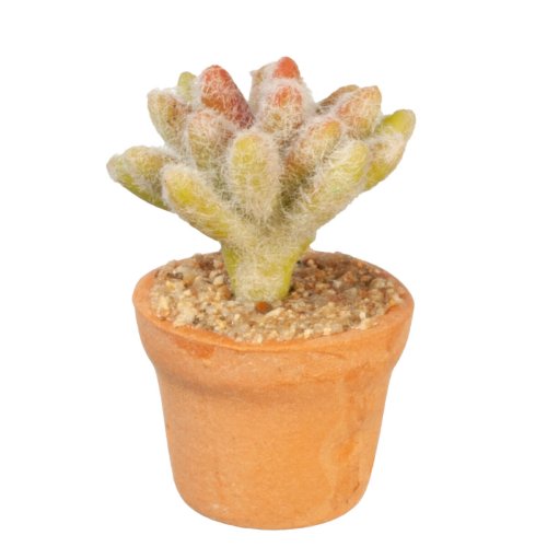 (image for) Potted Fuzzy Cactus