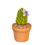 (image for) Potted Purple Flowering Cactus