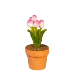 (image for) Potted Pink Flower Tulips