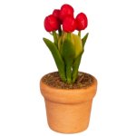 (image for) Potted Red Flower Tulips