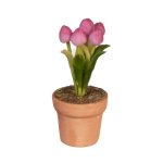 (image for) Potted Purple Tulips