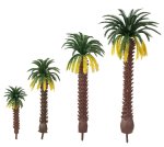 (image for) Assorted Palm Trees 4 pieces