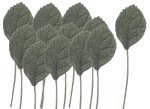 (image for) Rose Leaf Stems 12pc