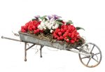 (image for) Wheelbarrow w/ Red Flowers