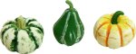 (image for) Set of 3 Gourds Set 2