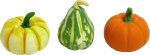 (image for) Set of 3 Gourds Set 3