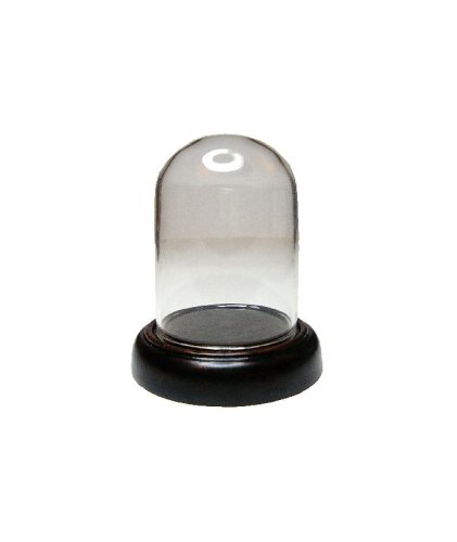 (image for) Glass Dome Display on Wood Base