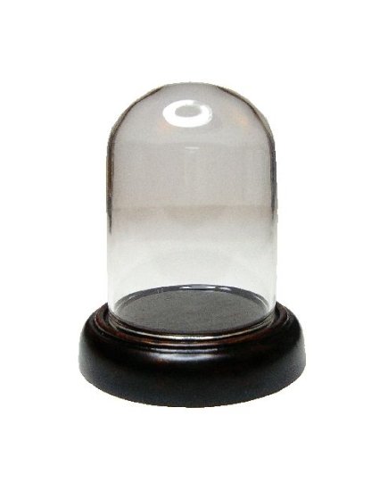 (image for) Glass Dome Display on Wood Base Medium